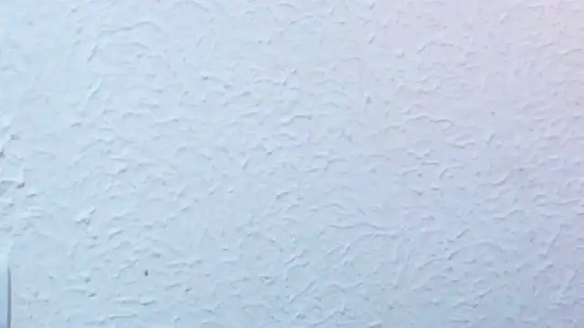 nextdoor_fantasy1 webcam