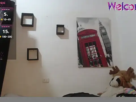 Stifanny_20cm webcam