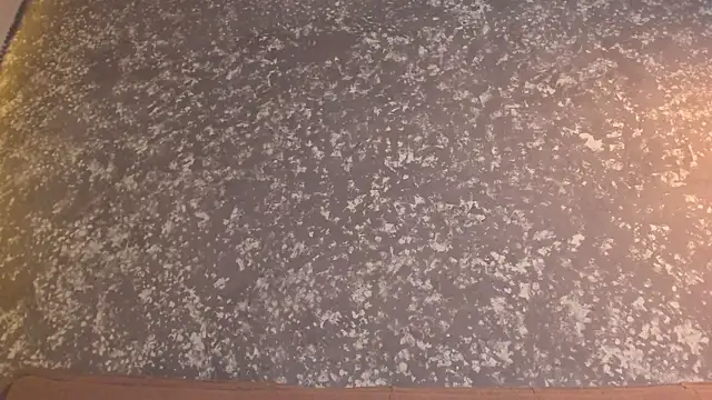 renee_shelby_ webcam