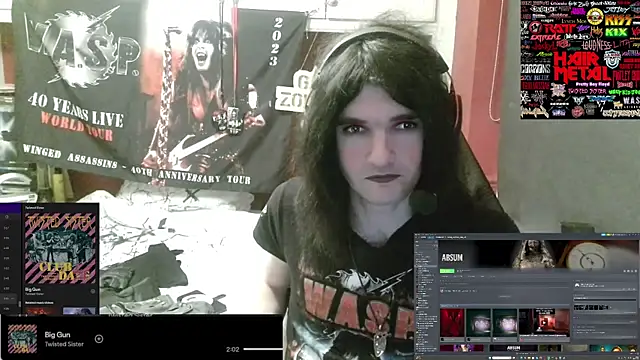 Rocker_Assassin_WASP_FAN webcam