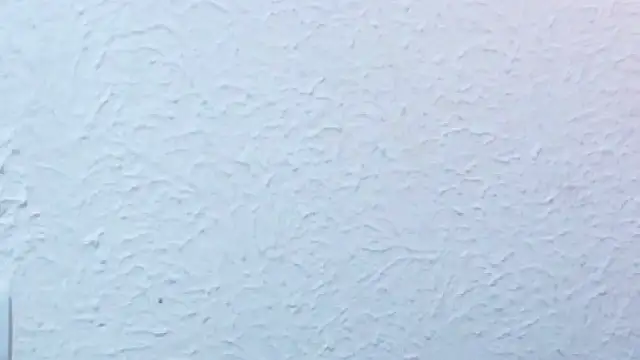 nextdoor_fantasy1 webcam