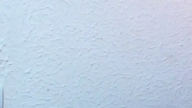 nextdoor_fantasy1 webcam