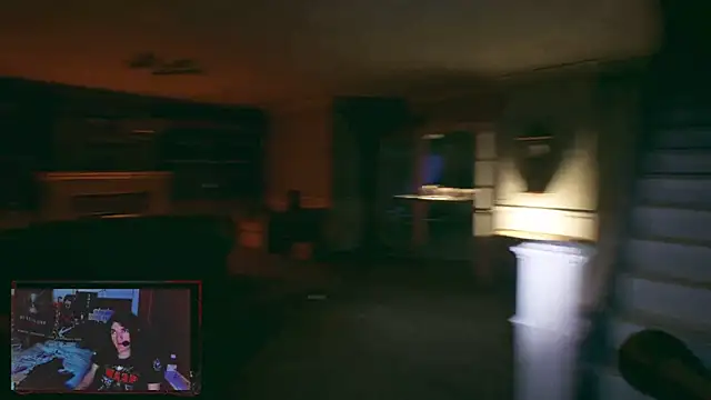 Rocker_Assassin_WASP_FAN webcam