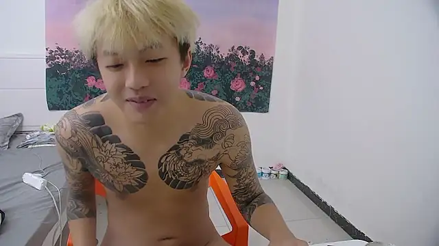 Chocolates-001 webcam