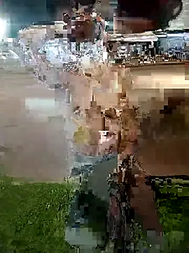 Shantey_Laurent webcam