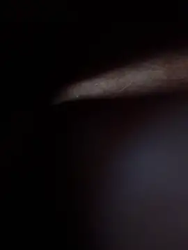 Preview of ratoncito_3