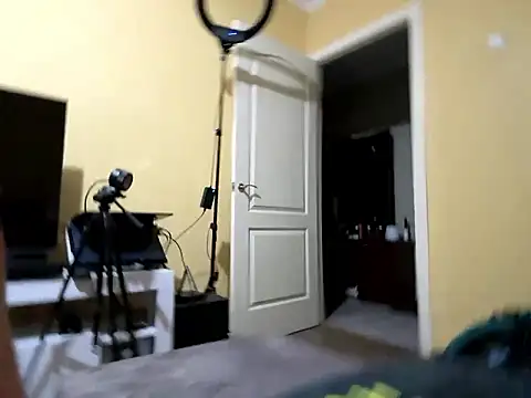 MartinBrandon webcam