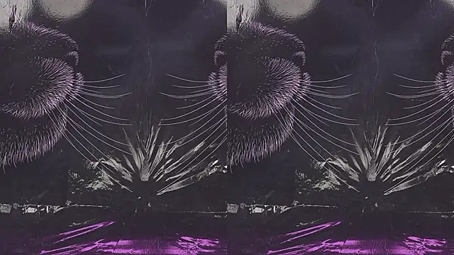 sweetgirls888 webcam