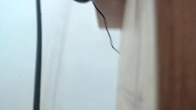 Madison_Copers webcam