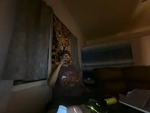 ThrowedWorldWide webcam