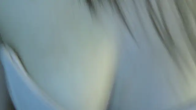 eva_sin18 (F young) - #ahegao #best #best-young #big-clit #big-tits #big-tits-blowjob #big-tits-hairy #big-tits-latin #big-tits-petite #big-tits-titty-fuck #big-tits-young #black-hair #black-hair-young #blowjob #blowjob-ahegao #cam2cam #dildo-or-vibrator #dildo-or-vibrator-big-tits #dildo-or-vibrator-young #dirty-talk #facesitting #facial #foot-fetish #hairy #hairy-young #hd #latin #latin-blowjob #latin-foot-fetish #latin-hairy #latin-masturbation #latin-young #long-hair #masturbation #middle-priced-privates #middle-priced-privates-best #middle-priced-privates-latin #middle-priced-privates-young #moderately-priced-cam2cam #outdoor #petite #petite-latin #petite-young #pov #recordable-privates #recordable-privates-young #recordable-publics #sex-toys #sexting #student #titty-fuck #topless #topless-latin #topless-young #young