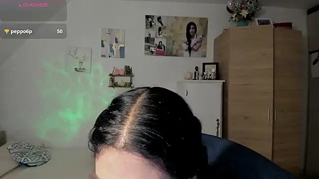 Veronikolsen- webcam