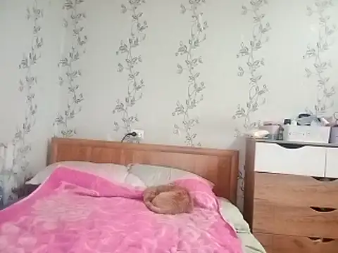 symmetryinvoid webcam