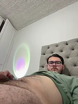 SubBoy_bear webcam