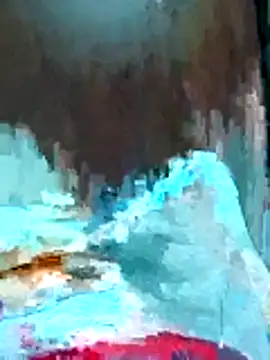 OnguardAudubon webcam