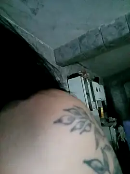 Venusluxodomme webcam