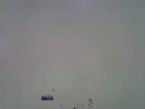 Rasta_tattooed webcam