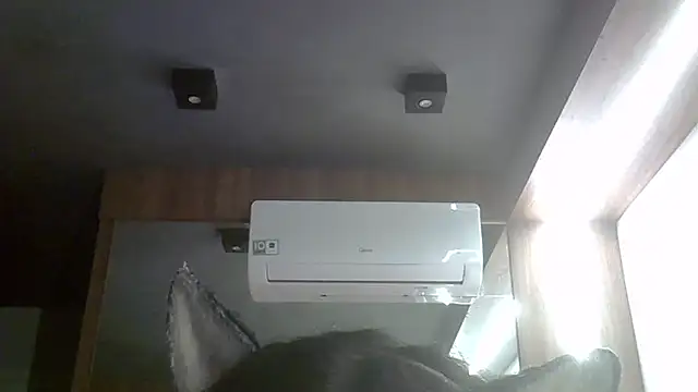 SkinnyKitten webcam