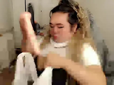 Goddes12inchTS webcam