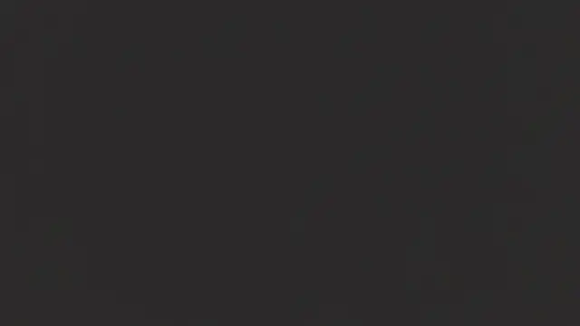 Benny_and_Mark webcam