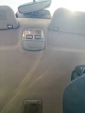 MerlinDave Stripchat cam model