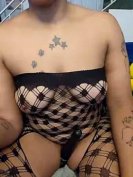 Drippincaty Stripchat cam model