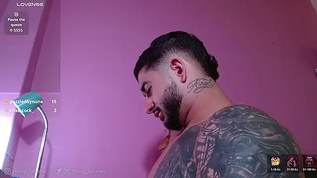 king_falconer webcam