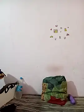 MANSI_HORNI86 webcam