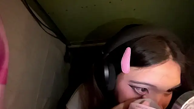 JoellenStable webcam