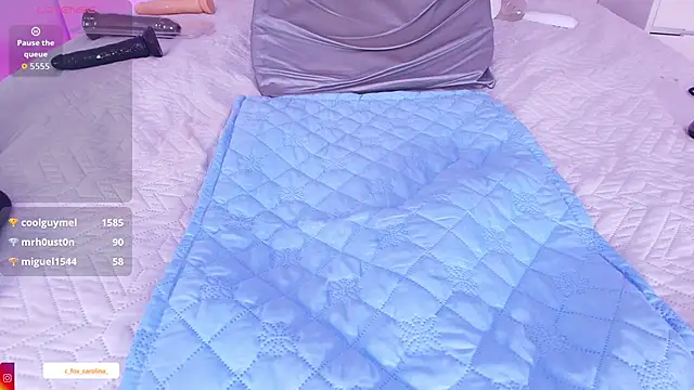 _carolina_fox webcam