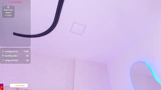 _carolina_fox webcam