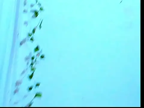 Antonella_Gomez22 webcam