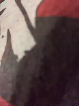 rinamood (F young) - take off bra