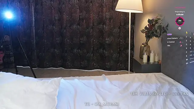 disco_elysium webcam