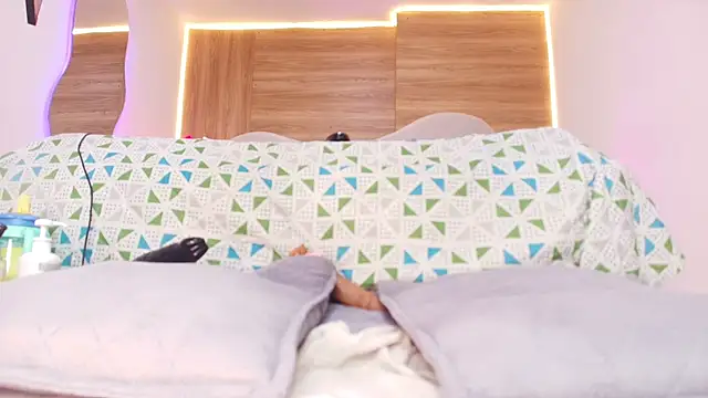 Auroraa_miller webcam