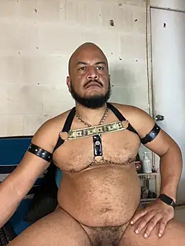 the_master_foal_ webcam