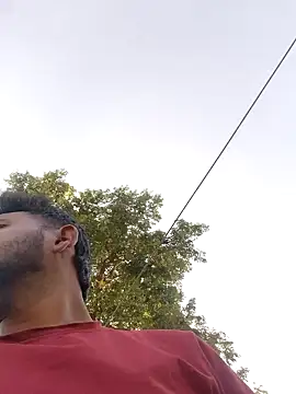 Wildlife_With_devil_89 webcam