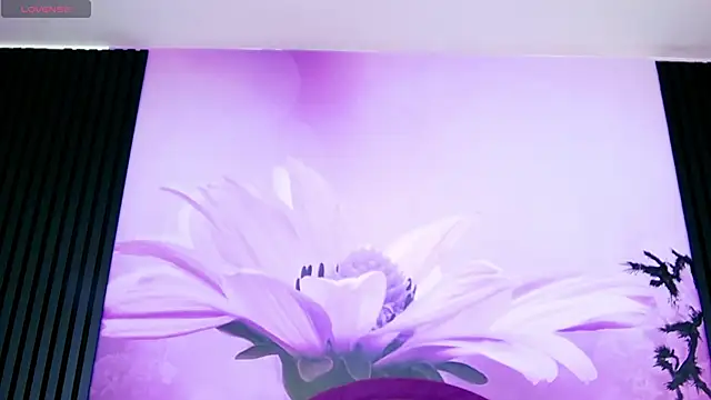 MegaBoobsDeee webcam