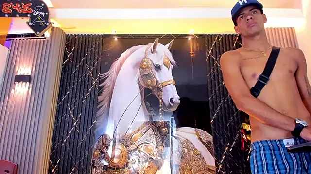 the_knights_of_the_night_ webcam