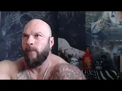 Preview of viking_30