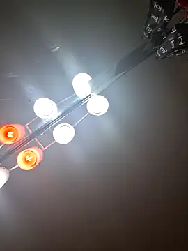 SpiderRose444 webcam