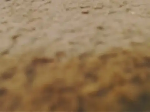 studlyhardwoodd webcam