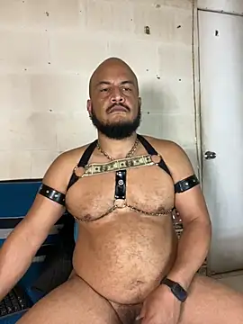 the_master_foal_ webcam