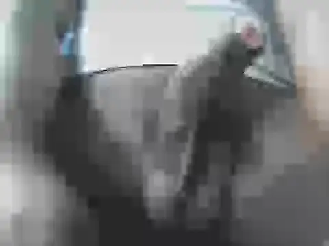 Tamil_mallu_love webcam