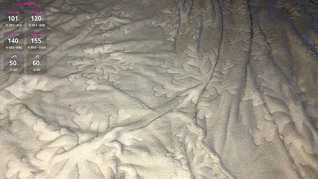 OdetteTrentinella webcam