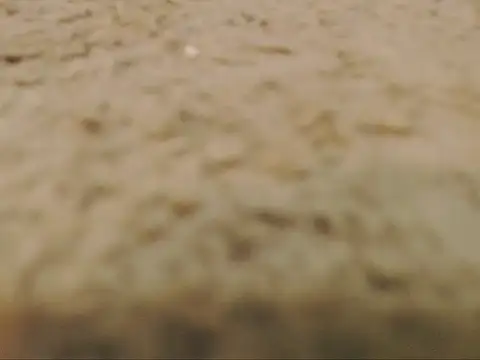 studlyhardwoodd webcam