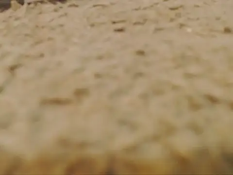 Preview of studlyhardwoodd