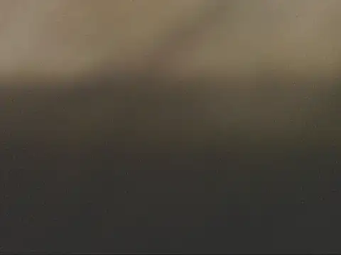 Preview of studlyhardwoodd