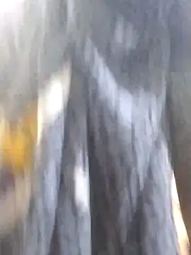 chocolate-puss webcam