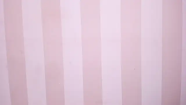 Preview of taylerbev